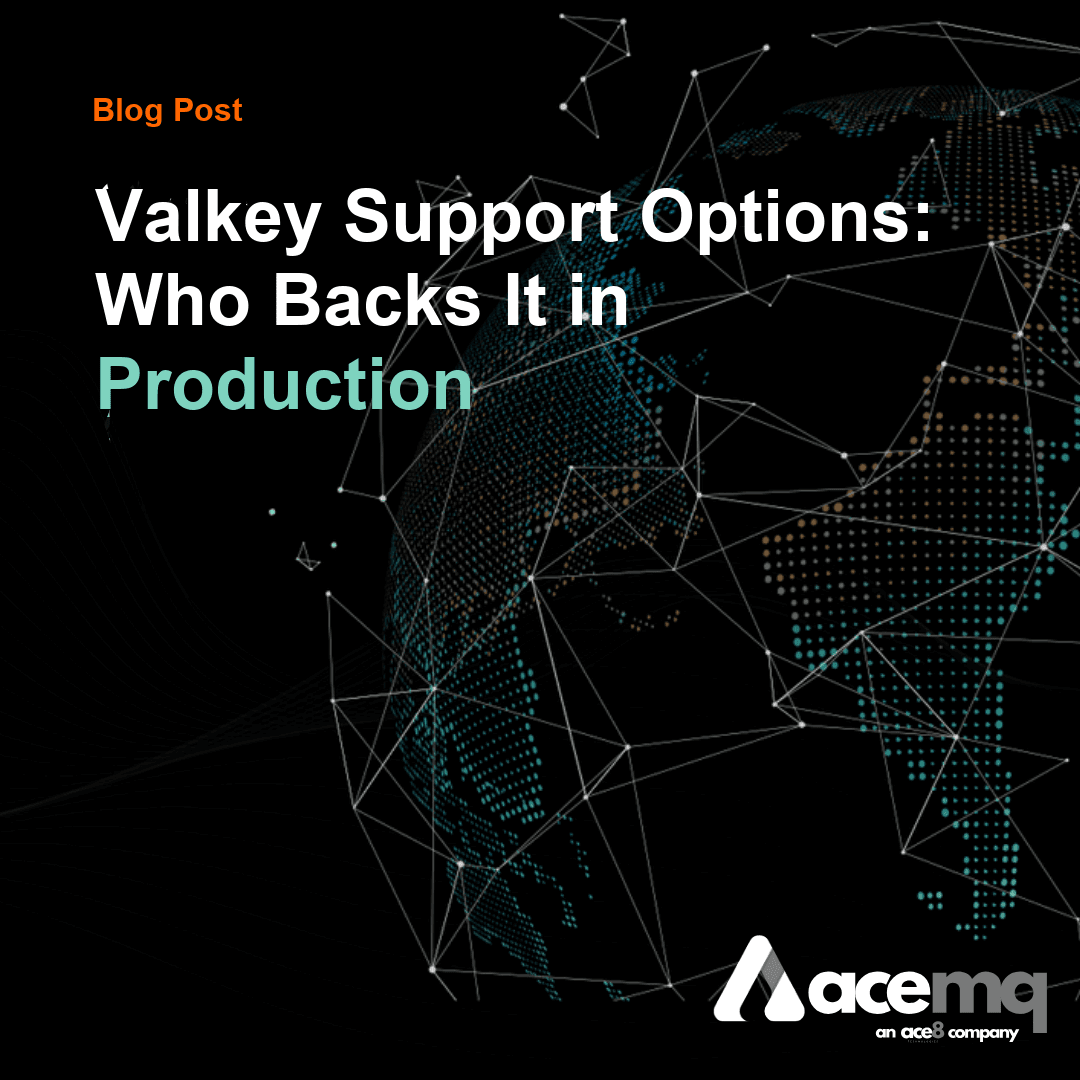 Which Companies Offer Valkey Support?